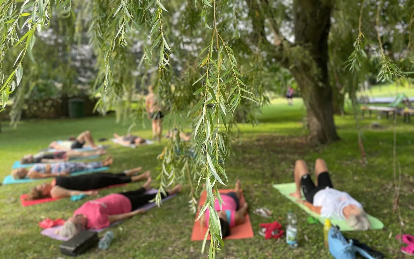 Yoga im Park unter einer Weide, Gruppe in Savasana, besonderer Anlass