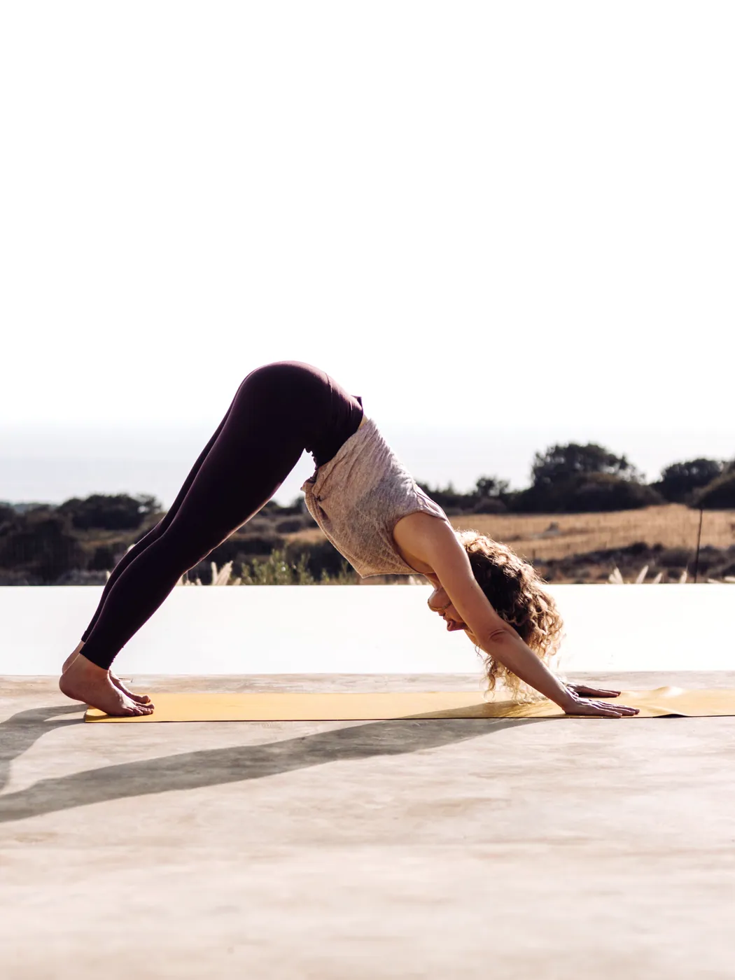 Herabschauender Hund (Adho Mukha Svanasana) in der Morgenroutine